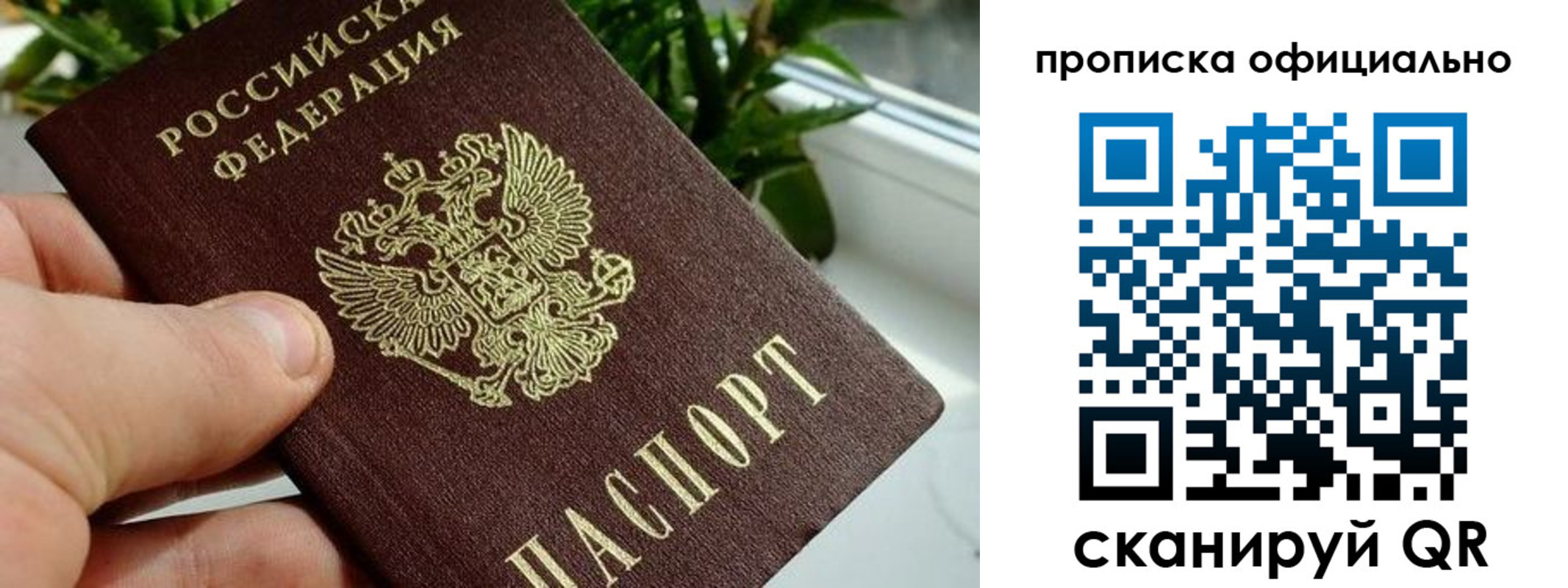 прописка поиск в Шали